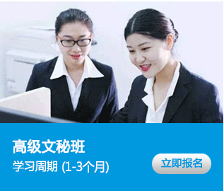 高级文秘作品